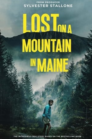 Lost on a Mountain in Maine 2024 Hindi Subbed HD Poster Download - Filmyzilla