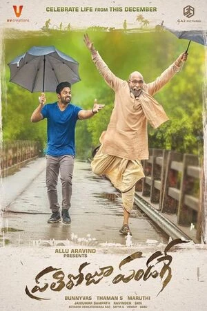 Prati Roju Pandaage 2019 Hindi Dual Audio HD Poster Download - Filmyzilla