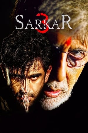 Sarkar 3 2017 190mb hindi movie Download HD Poster Download - Filmyzilla
