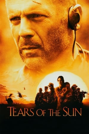 Tears of the Sun 2003 Hindi Dual Audio 360MB HD Poster Download - Filmyzilla